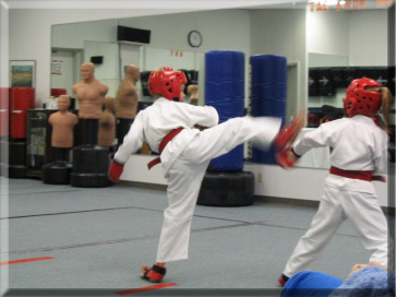 martial arts sparring